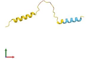 Protein Structure (PS) image for ARHGAP5 Antisense RNA 1 (Head To Head) (ARHGAP5-AS1) (AA 1-56) protein (Fc Tag) (ABIN7552200)