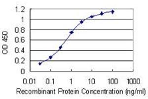 Detection limit for recombinant GST tagged PCBP1 is 0. (PCBP1 抗体  (AA 181-280))