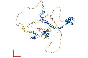 AlphaFold protein structure predicition of Mouse Recombinant Rcor2 Protein, UniprotID Q8C796 (Rcor2 Protein (AA 1-523) (His tag))
