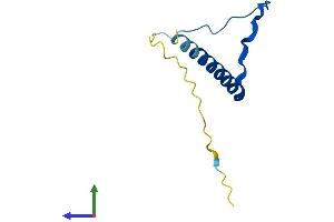 AlphaFold protein structure predicition of Human Recombinant BBIP1 Protein, UniprotID A8MTZ0
