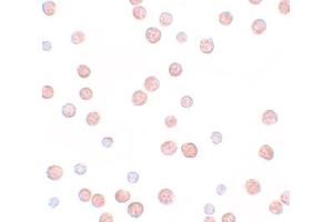 Immunohistochemistry (IHC) image for anti-Pappalysin 2 (PAPPA2) (N-Term) antibody (ABIN1031518) (PAPPA2 抗体  (N-Term))