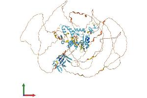 Protein Structure (PS) image for Zinc Finger Protein, Multitype 1 (ZFPM1) (AA 1-1006) protein (His tag) (ABIN7553913)