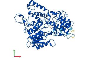 Protein Structure (PS) image for Kynureninase (L-Kynurenine Hydrolase) (KYNU) (AA 1-464) protein (His tag) (ABIN7560717)