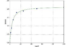 A typical standard curve