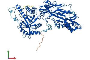 Protein Structure (PS) image for Protein Arginine Methyltransferase 5 (PRMT5) (AA 1-637) protein (His tag) (ABIN7552219)
