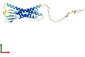 Protein Structure (PS) image for Claudin 16 (CLDN16) (AA 1-235) protein (His tag) (ABIN7560286)