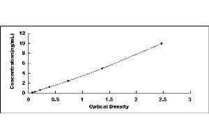 Typical standard curve (ELOVL1 ELISA 试剂盒)