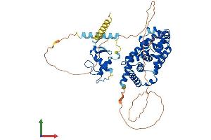 Protein Structure (PS) image for RAR-Related Orphan Receptor C (RORC) (AA 1-518) protein (His tag) (ABIN7555280)