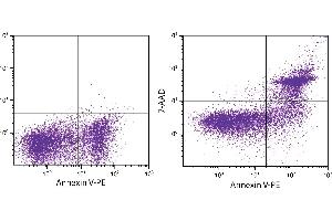Day old BALB/c mouse splenocytes were stained with ApoScreen® Annexin V Apoptosis Kit-PE. (Annexin V Apoptosis Kit-PE)