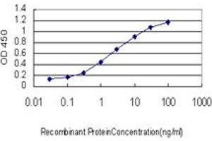 Detection limit for recombinant GST tagged DAZ1 is approximately 0. (DAZ1 抗体  (AA 21-120))