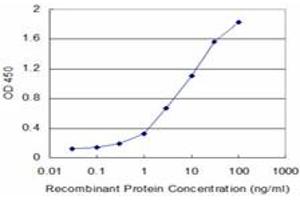 Detection limit for recombinant GST tagged TNF is approximately 0. (TNF alpha 抗体  (AA 1-233))
