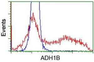Flow Cytometry (FACS) image for anti-Alcohol Dehydrogenase 1B (Class I), beta Polypeptide (ADH1B) antibody (ABIN1496479) (ADH1B 抗体)