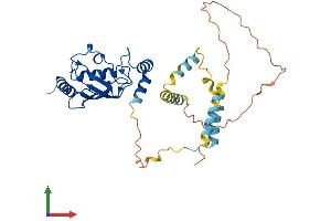 Protein Structure (PS) image for Ubiquitin-Conjugating Enzyme E2U (UBE2U) (AA 1-321) protein (His tag) (ABIN7544986)