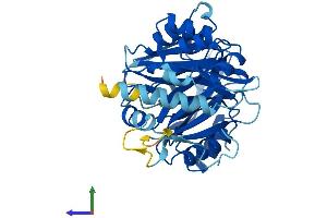 AlphaFold protein structure predicition of Human Recombinant HPDL Protein, UniprotID Q96IR7