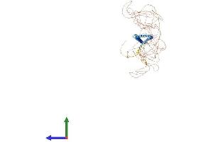 AlphaFold protein structure predicition of Human Recombinant MTUS1 Protein, UniprotID Q9ULD2
