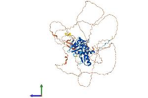 Protein Structure (PS) image for Zinc Finger and BTB Domain Containing 33 (ZBTB33) (AA 1-672) protein (His tag) (ABIN7554217)