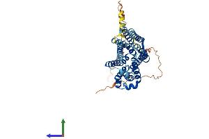 Protein Structure (PS) image for Solute Carrier Family 35, Member F1 (SLC35F1) (AA 1-408) protein (His tag) (ABIN7558564)