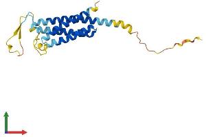 Protein Structure (PS) image for Na+/K+ Transporting ATPase Interacting 2 (NKAIN2) (AA 1-208) protein (His tag) (ABIN7549883)