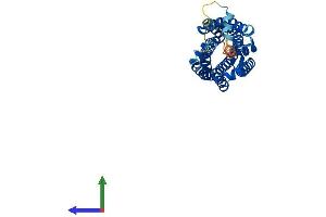 Protein Structure (PS) image for Complement Component 5a Receptor 1 (C5AR1) (AA 1-350) protein (His tag) (ABIN7552951)