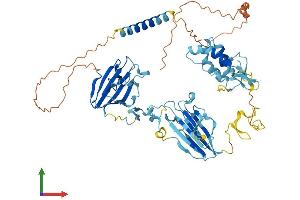 Protein Structure (PS) image for Membrane Frizzled-Related Protein (MFRP) (AA 1-579) protein (His tag) (ABIN7549403)
