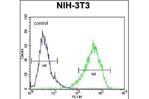 HOMEZ Antibody (N-term) (ABIN654727 and ABIN2844415) flow cytometric analysis of NIH-3T3 cells (right histogram) compared to a negative control cell (left histogram). (HOMEZ 抗体  (N-Term))