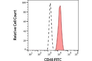 Separation of human CD48 positive lymphocytes (red-filled) from human CD48 negative neutrophil granulocytes (black-dashed) in flow cytometry analysis (surface staining) of human peripheral whole blood stained using anti-human CD48 (MEM-102) FITC (20 μL reagent / 100 μL of peripheral whole blood). (CD48 抗体  (FITC))