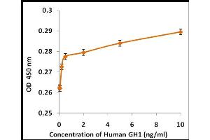 Activity Assay (AcA) image for Growth Hormone 1 (GH1) (Active) protein (ABIN5509312) (Growth Hormone 1 Protein (GH1))