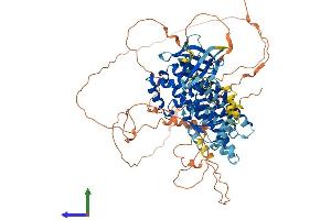 Protein Structure (PS) image for rho Guanine Nucleotide Exchange Factor (GEF) 19 (ARHGEF19) (AA 1-802) protein (His tag) (ABIN7558955)