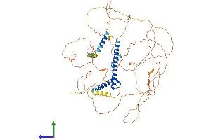 AlphaFold protein structure predicition of Mouse Recombinant Tcf3 Protein, UniprotID P15806