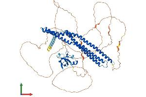 Protein Structure (PS) image for Amphiphysin (AMPH) (AA 1-695) protein (His tag) (ABIN7552146)