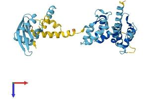MOAP1 Protein (AA 1-352) (His tag)