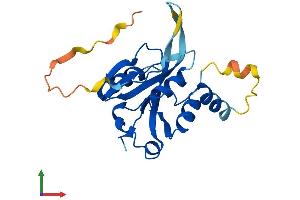 AlphaFold protein structure predicition of Human Recombinant JOSD1 Protein, UniprotID Q15040