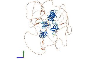 Protein Structure (PS) image for SH3 Domain Containing Ring Finger 1 (SH3RF1) (AA 1-888) protein (His tag) (ABIN7555462)