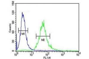 CEA antibody flow cytometric analysis of 293 cells (right histogram) compared to a negative control (left histogram). (CEA 抗体  (AA 400-429))