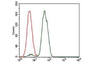 Flow cytometric analysis of Jurkat cells using NCK1 mouse mAb (green) and negative control (red). (NCK1 抗体)