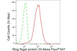 Flow cytometric analysis of Ring finger protein 20 expression in HeLa cells using Ring finger protein 20 antibody (ABIN7800246), 1:2,000). (Recombinant RNF20 抗体)