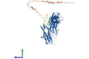 Protein Structure (PS) image for Myosin Binding Protein H (MYBPH) (AA 1-483) protein (His tag) (ABIN7556715)