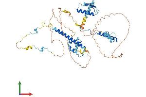 Protein Structure (PS) image for RAD21-Like 1 (RAD21L1) (AA 1-556) protein (His tag) (ABIN7551196)