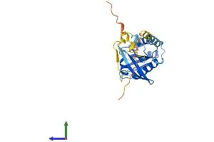 AlphaFold protein structure predicition of Human Recombinant RABL2A Protein, UniprotID Q9UBK7