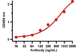 ELISA Validation with SARS-CoV-2 (COVID-19) Spike Recombinant ProteinAntibodies: SARS-CoV-2 (COVID-19) Spike antibody, ABIN6952968 (1 μg/mL). (SARS-CoV-2 Spike 抗体  (RBD))