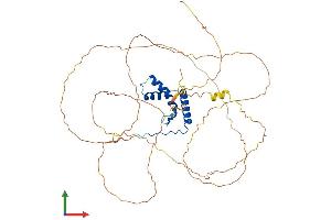 Protein Structure (PS) image for SRY (Sex Determining Region Y)-Box 4 (SOX4) (AA 1-474) protein (His tag) (ABIN7546148)