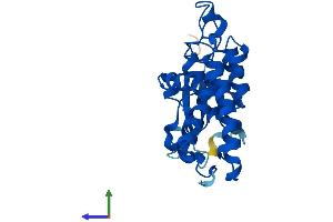 Protein Structure (PS) image for Chloride Intracellular Channel 3 (CLIC3) (AA 1-237) protein (His tag) (ABIN7561092)