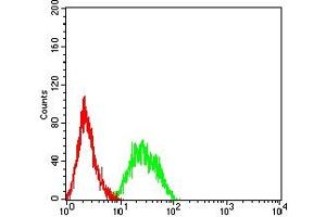 Flow cytometric analysis of HL-60 cells using LRP6 mouse mAb (green) and negative control (red). (LRP6 抗体  (AA 1198-1370))