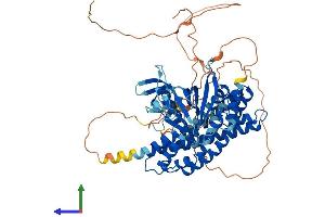 Protein Structure (PS) image for Spermatogenesis Associated 13 (SPATA13) (AA 1-652) protein (His tag) (ABIN7555602)