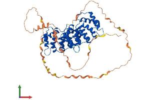 Protein Structure (PS) image for Annexin A11 (ANXA11) (AA 1-503) protein (His tag) (ABIN7556800)