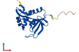 Protein Structure (PS) image for N(alpha)-Acetyltransferase 50, NatE Catalytic Subunit (NAA50) (AA 1-169) protein (His tag) (ABIN7558074)