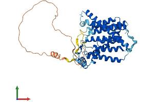 AlphaFold protein structure predicition of Human Recombinant SGPP1 Protein, UniprotID Q9BX95