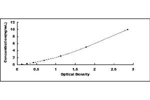 Typical standard curve (HIST1H2AB ELISA 试剂盒)