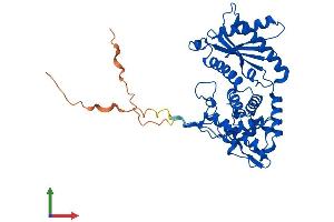 Protein Structure (PS) image for Interleukin Enhancer Binding Factor 2, 45kDa (ILF2) (AA 1-390) protein (His tag) (ABIN7560736)