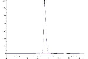 Size-exclusion chromatography-High Pressure Liquid Chromatography (SEC-HPLC) image for C-Type Lectin Domain Family 5, Member A (CLEC5A) (AA 26-190) protein (Fc Tag) (ABIN7274365)
